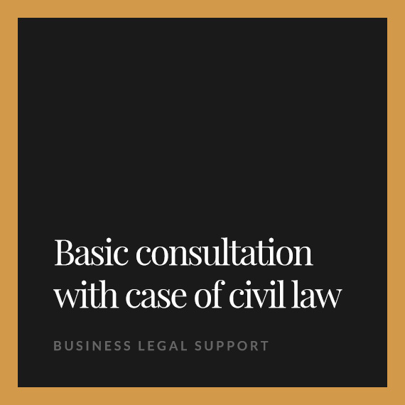 Basic consultation with case of civil law
